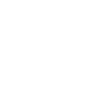 SymNex Consulting Logo